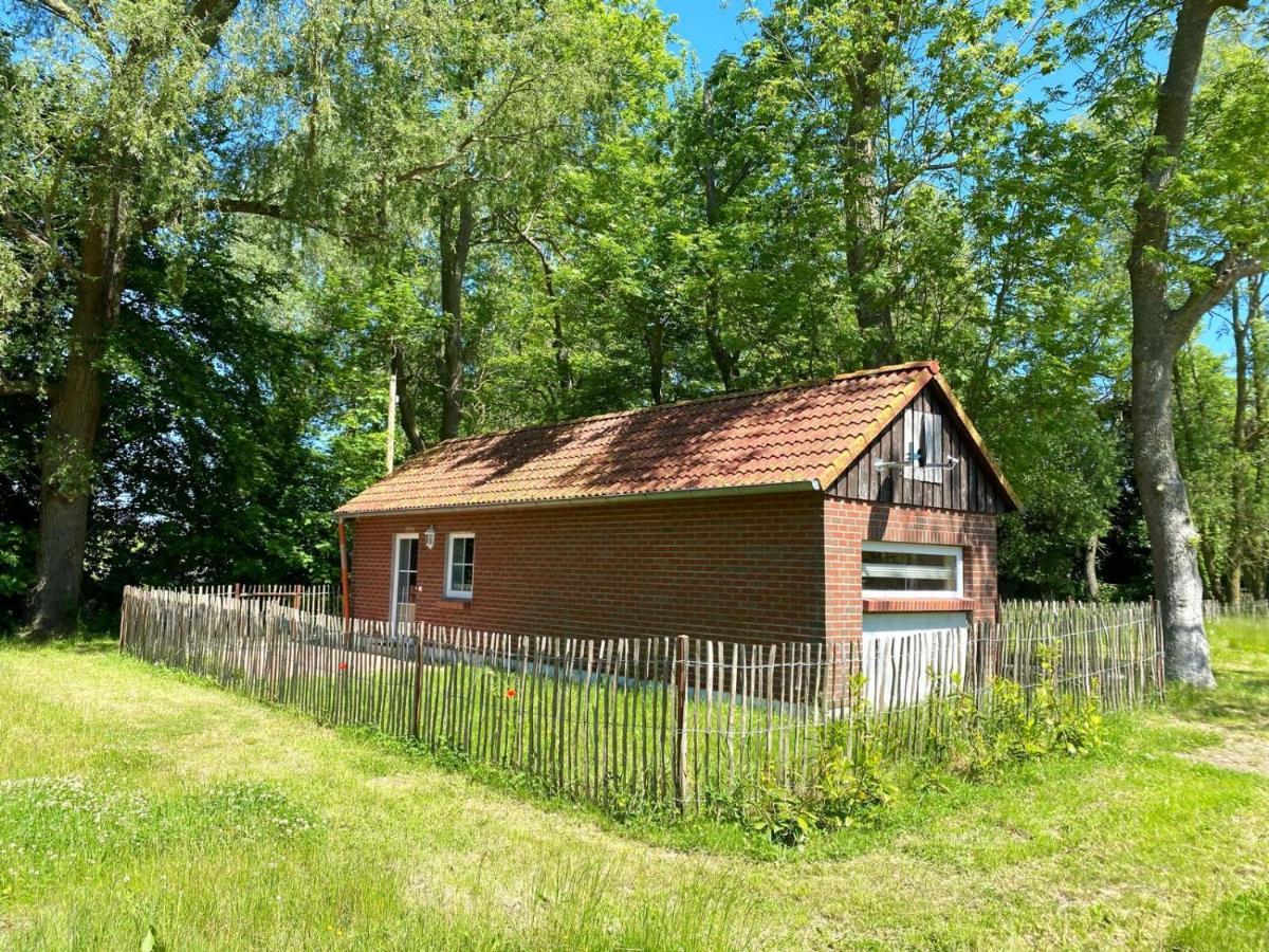 Hofgut Bisdamitz - Ferienhaus "Knoff" Zewnętrze zdjęcie