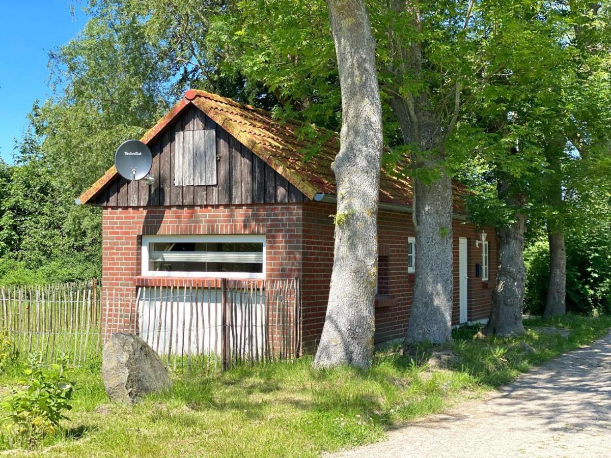 Hofgut Bisdamitz - Ferienhaus "Knoff" Zewnętrze zdjęcie