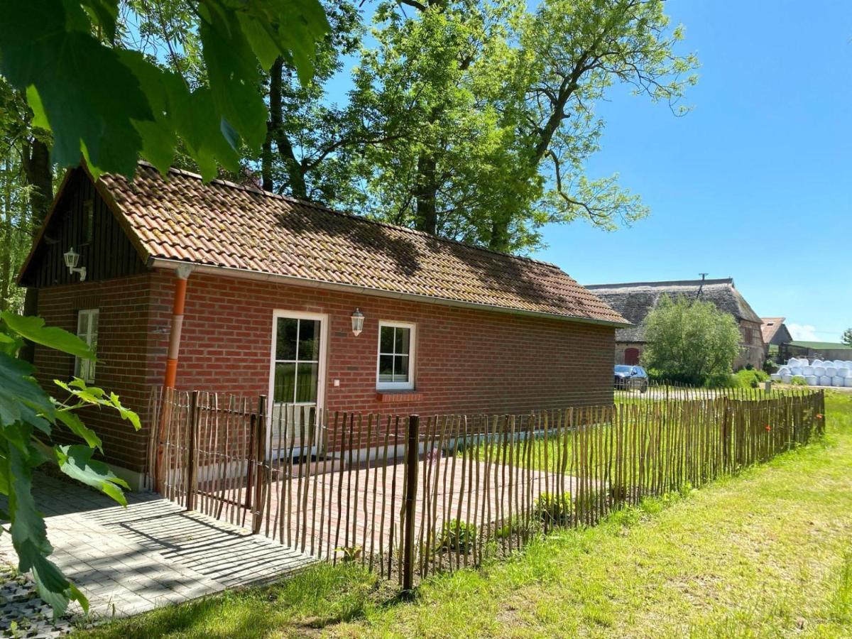 Hofgut Bisdamitz - Ferienhaus "Knoff" Zewnętrze zdjęcie