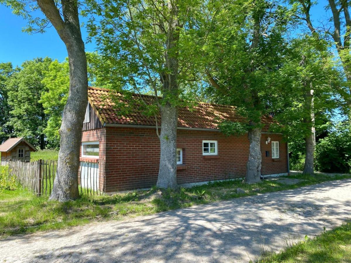 Hofgut Bisdamitz - Ferienhaus "Knoff" Zewnętrze zdjęcie